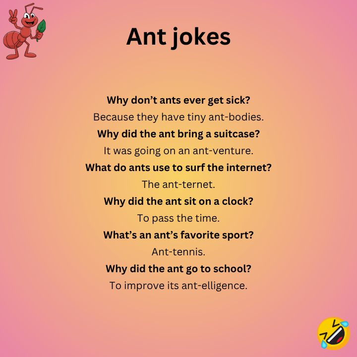 Ant Dad Jokes