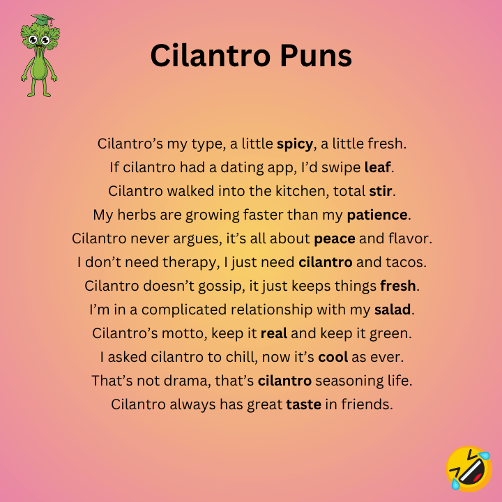 Funny Cilantro Puns