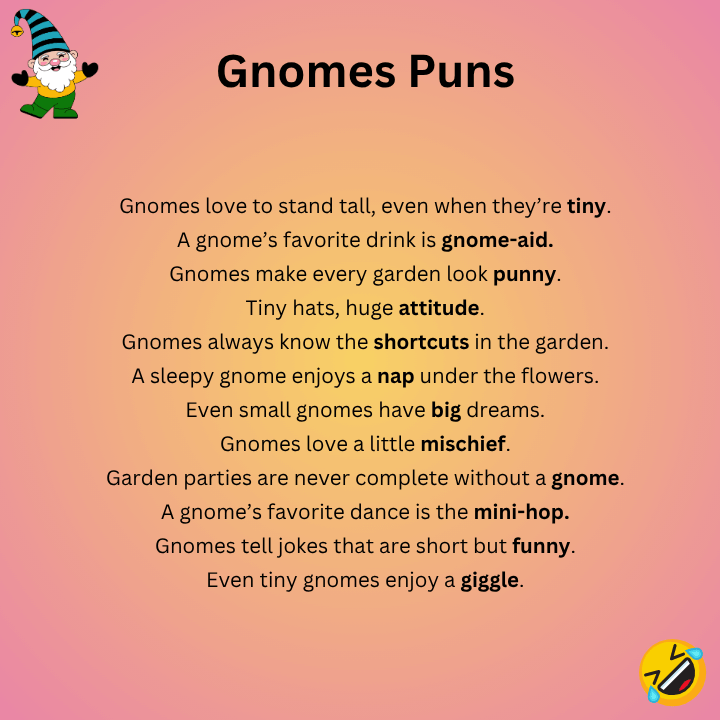 Funny Gnomes Puns