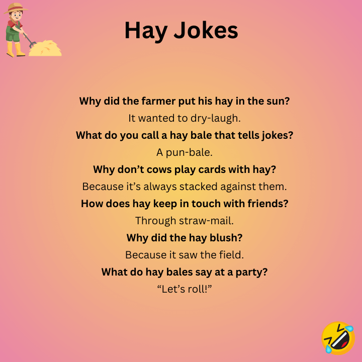 Hay Jokes