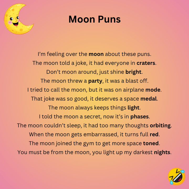 Moon Puns 