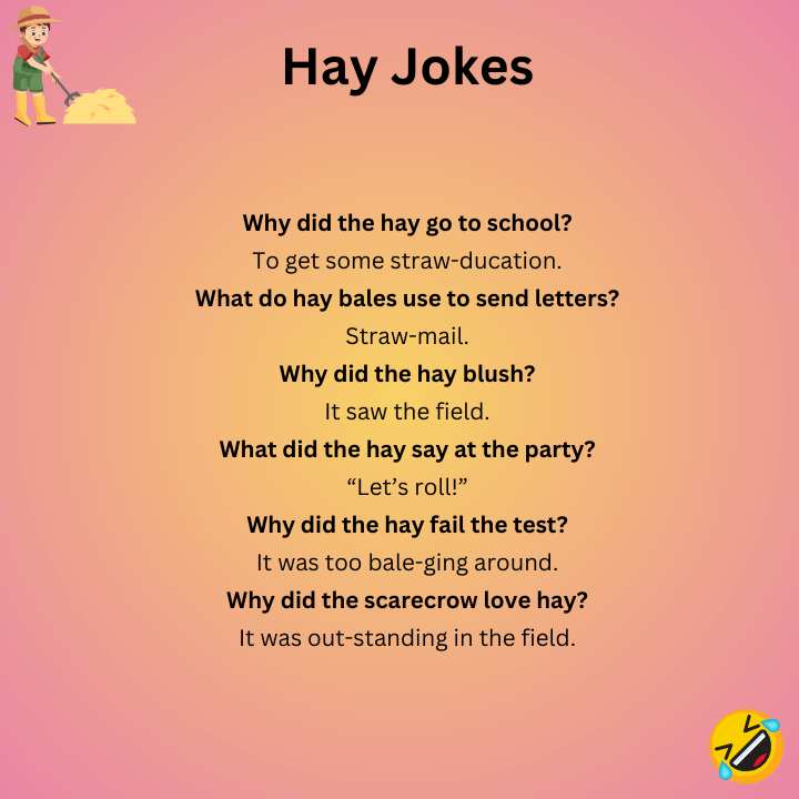 Short Hay Jokes