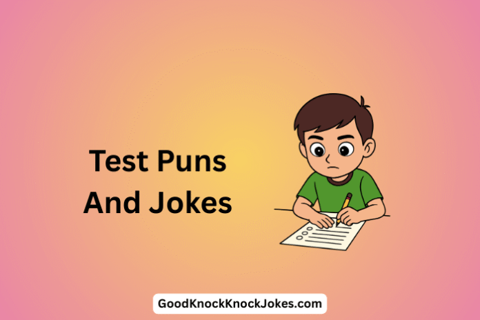 Test Puns And Jokes