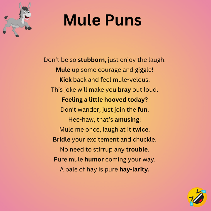 Funny Mule Puns