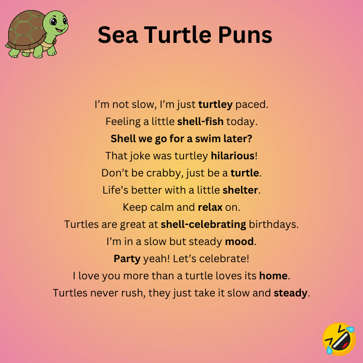 Funny Sea Turtle Puns