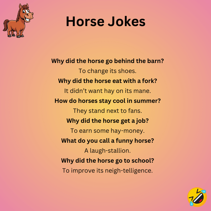 Horse Jokes