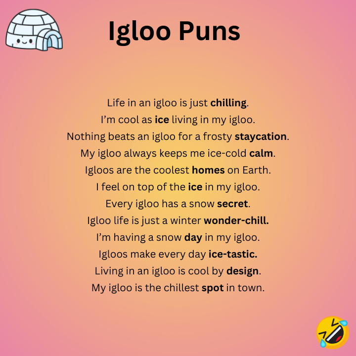 Igloo Puns 
