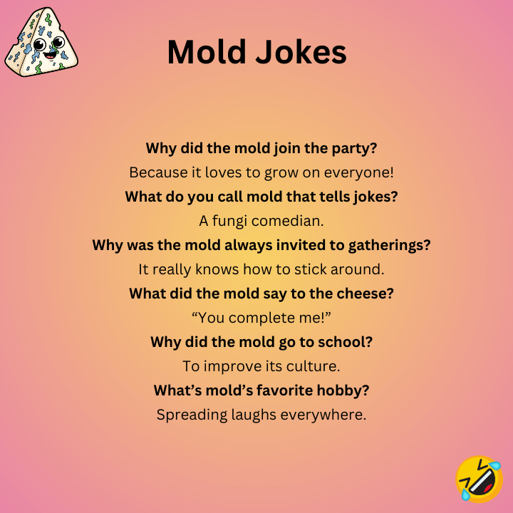 Mold Jokes