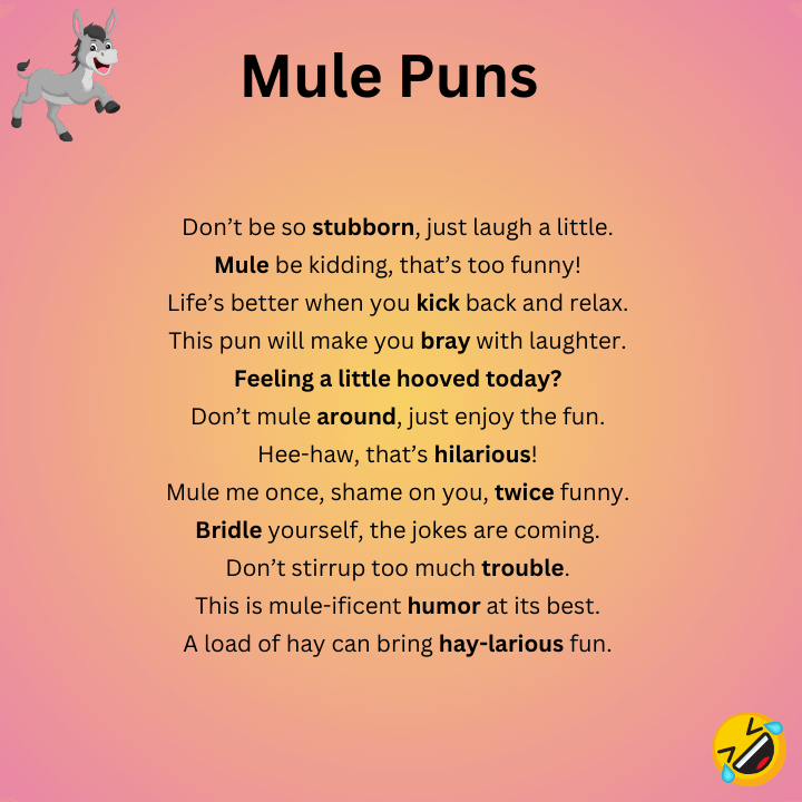 Mule Puns One-Liners