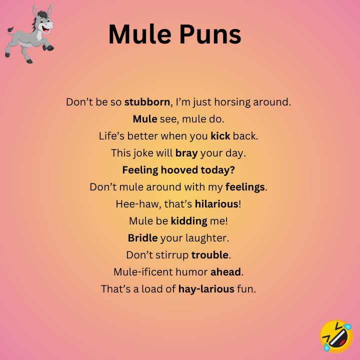 Mule Puns