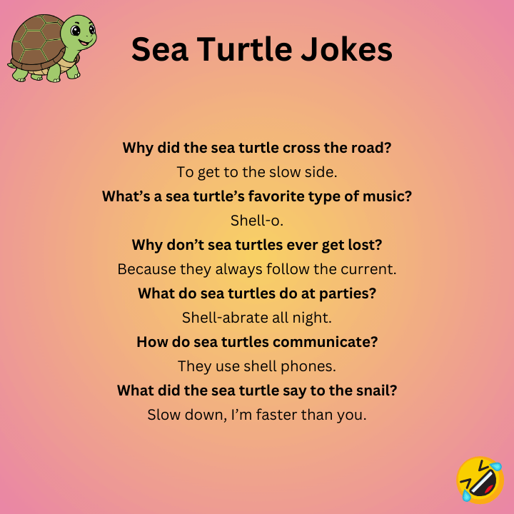 Sea Turtle Jokes