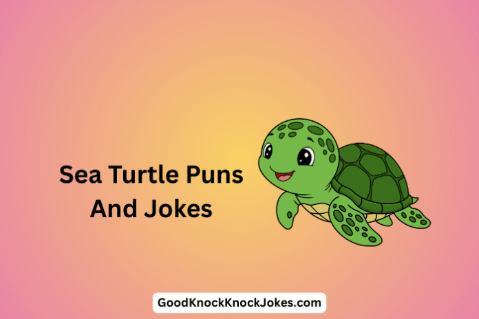 Sea Turtle Puns And Jokes