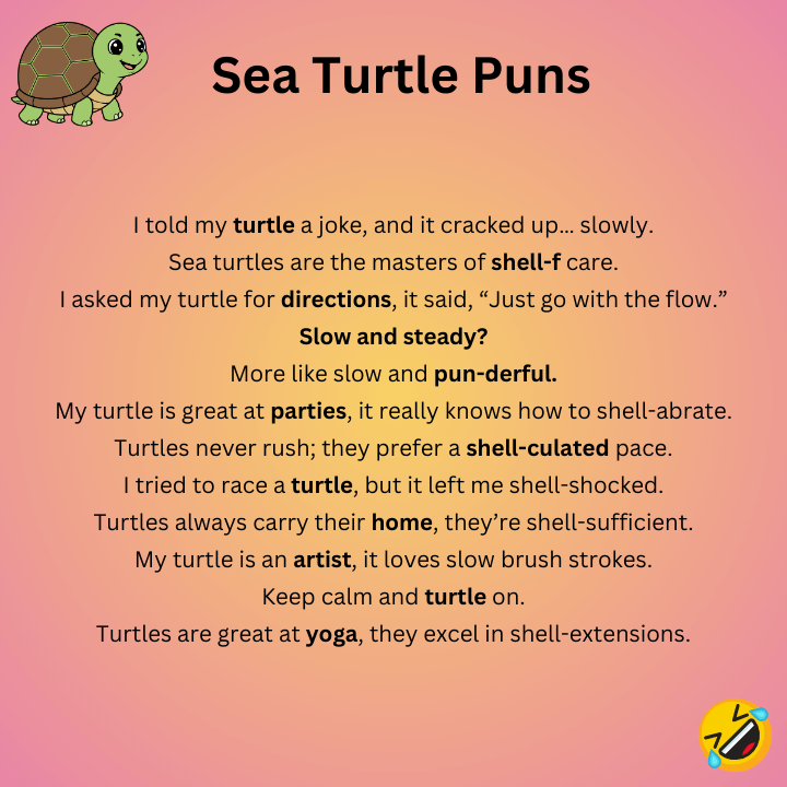 Sea Turtle Puns One-Liners