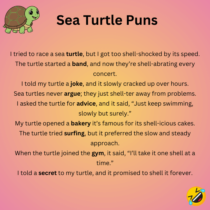 Sea Turtle Puns