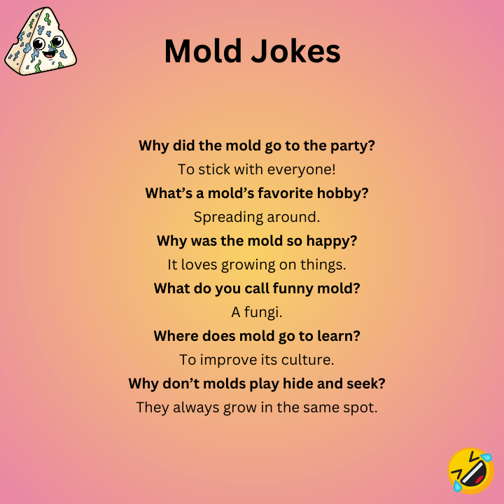 Short Mold Jokes