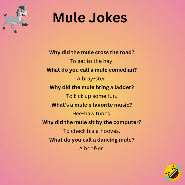 Short Mule Jokes