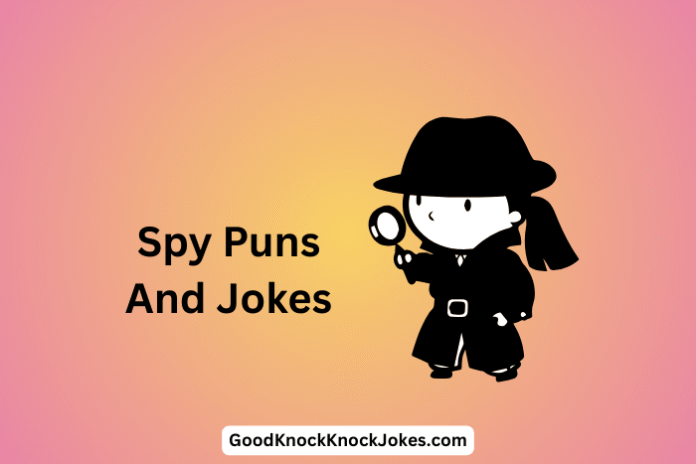 Spy Puns And Jokes