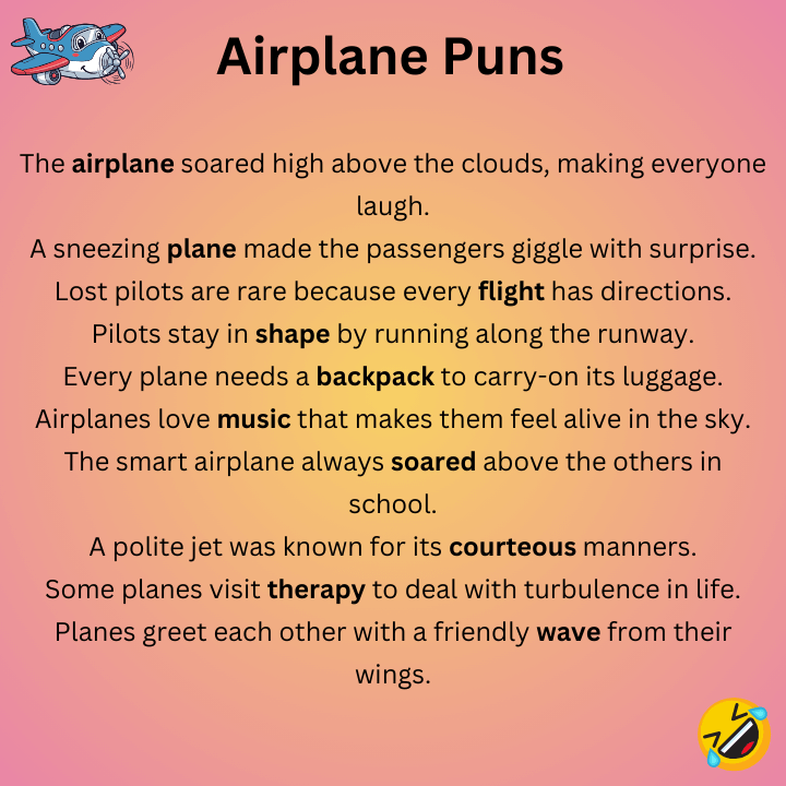 Airplane Puns 