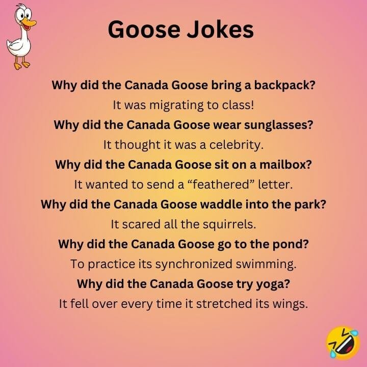 Canada Goose Jokes