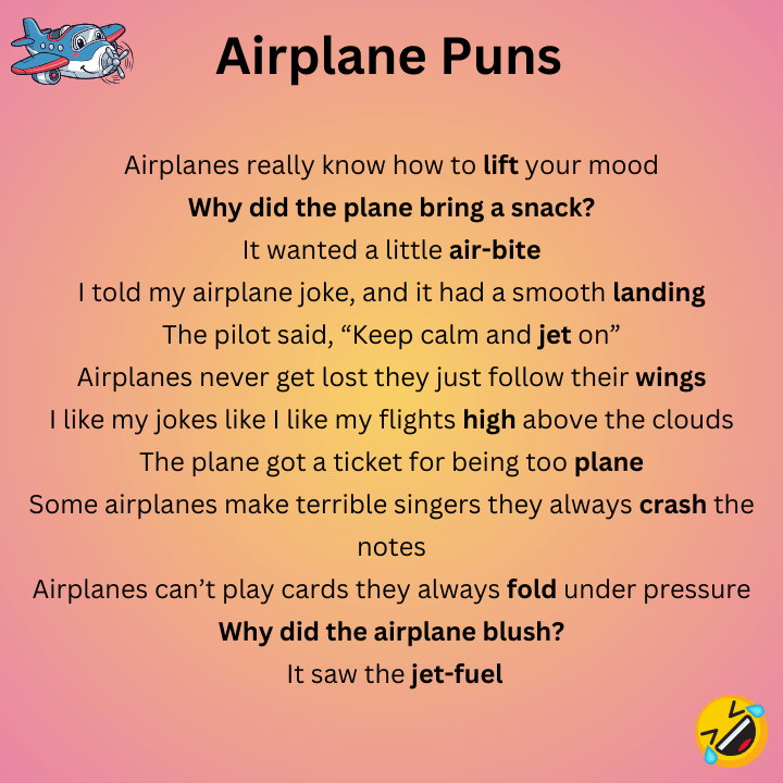 Funny Airplane Puns 