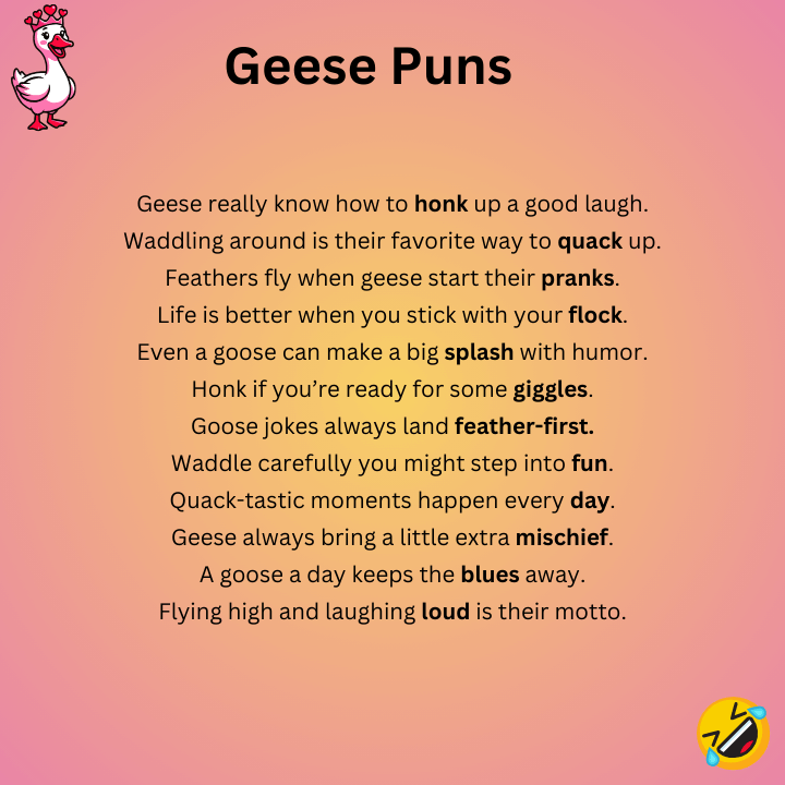 Funny Geese Puns