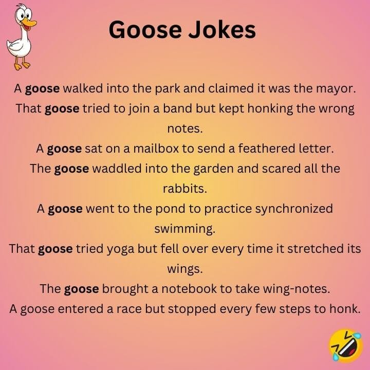 Funny Goose Jokes