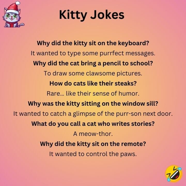 Funny Kitty Jokes 