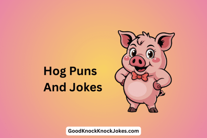 Hog Puns And Jokes