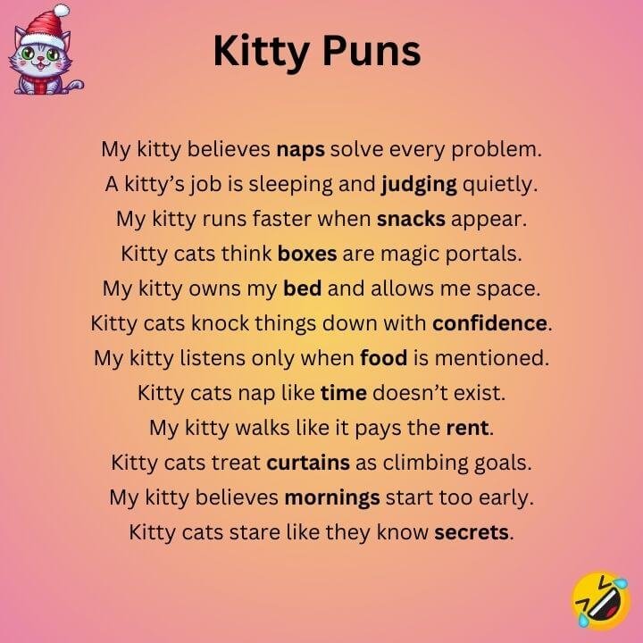 Kitty Cat Puns
