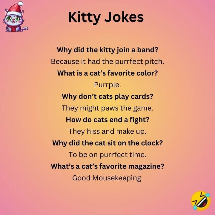 Kitty Jokes 