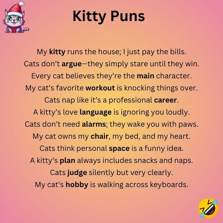 Kitty Puns 