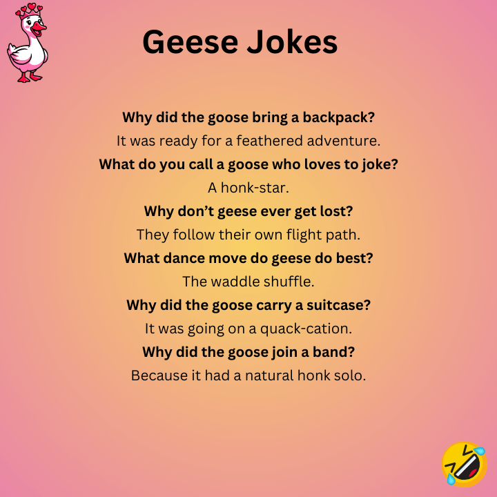 Short Geese Jokes 
