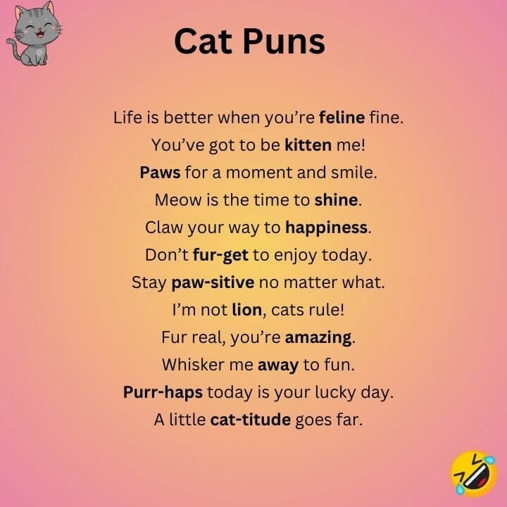 Best Cat Puns