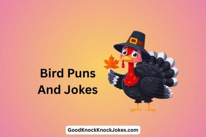 Bird Puns And Jokes