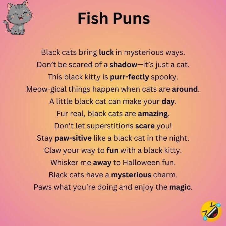Black Cat Puns 