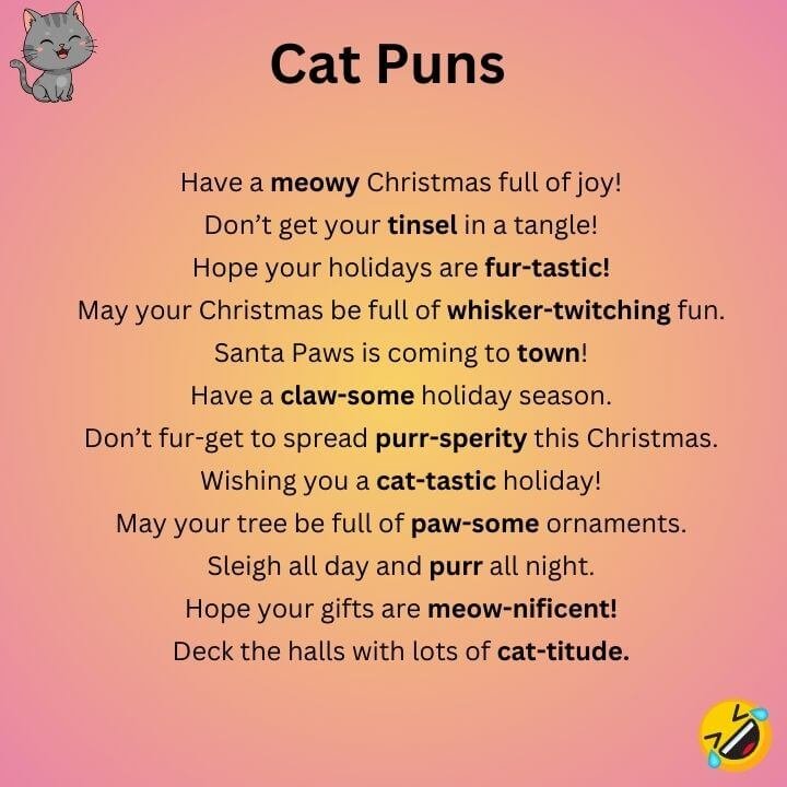 Cat Christmas Puns