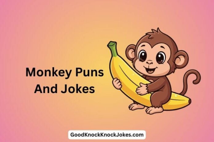 Monkey Puns And Jokes