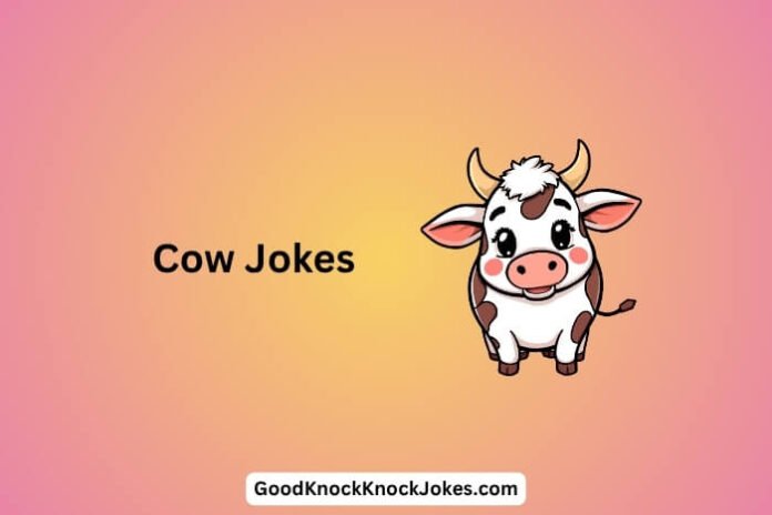 Cow Jokes