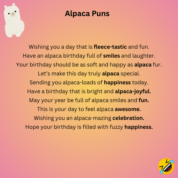 Alpaca Birthday Pun