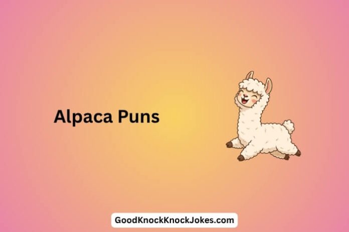 Alpaca Puns
