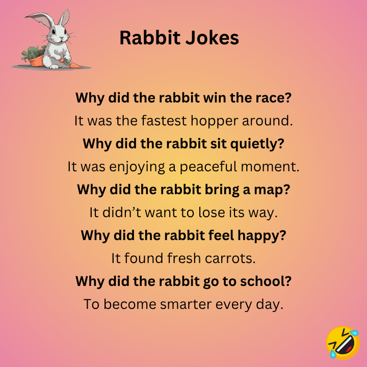 Best Rabbit Jokes