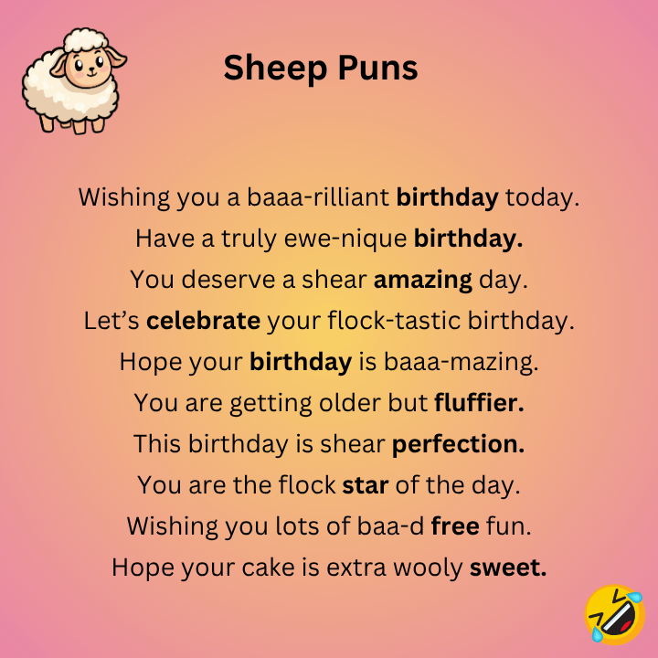 Birthday Sheep Puns
