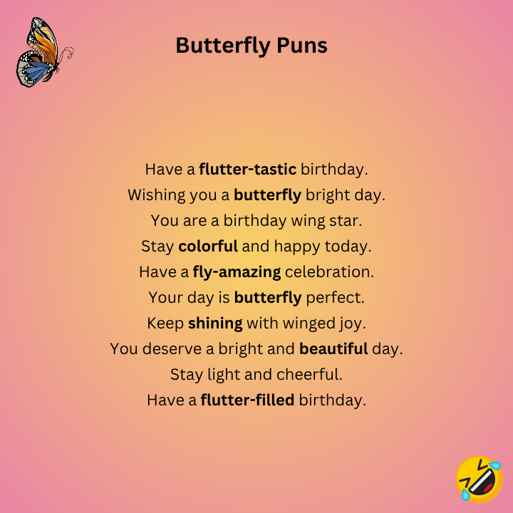 Butterfly Birthday Pun