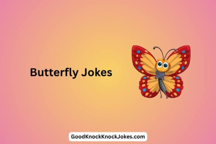 Butterfly Jokes