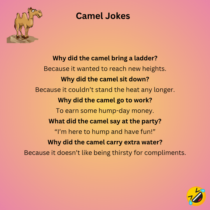 Camel Dad Jokes