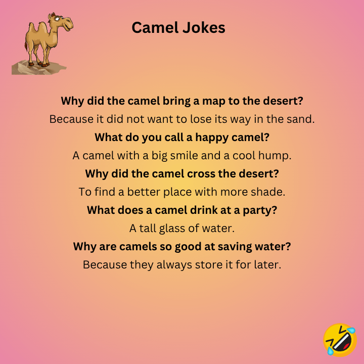 Camel Jokes