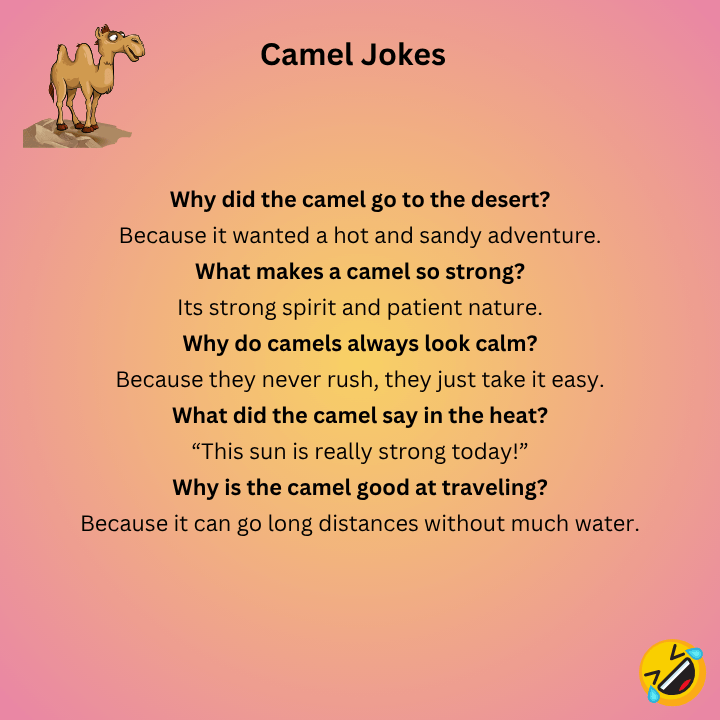 Camel Jokes One Liners