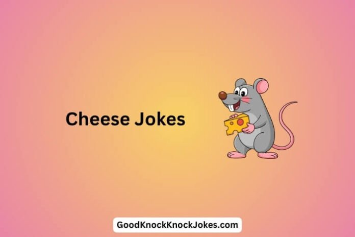 Cheese Jokes