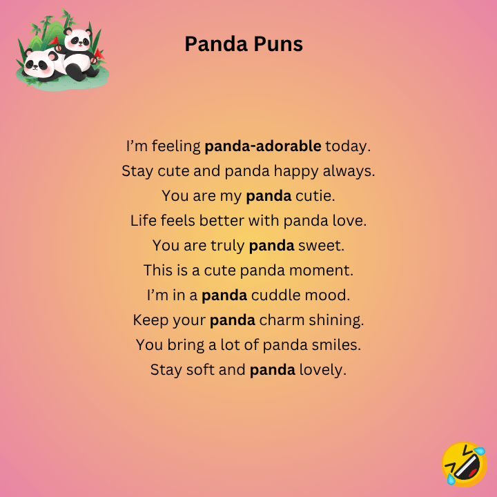 Cute Panda Puns