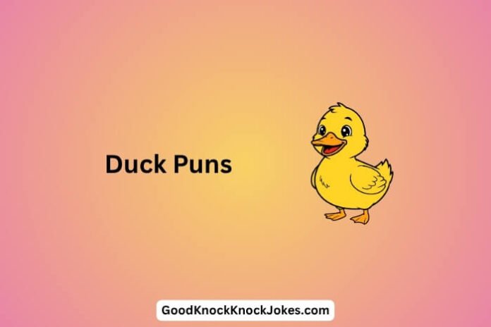 Duck Puns
